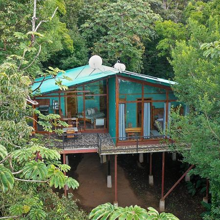 Above The Gulf, Vacation House モンテベルデ エクステリア 写真