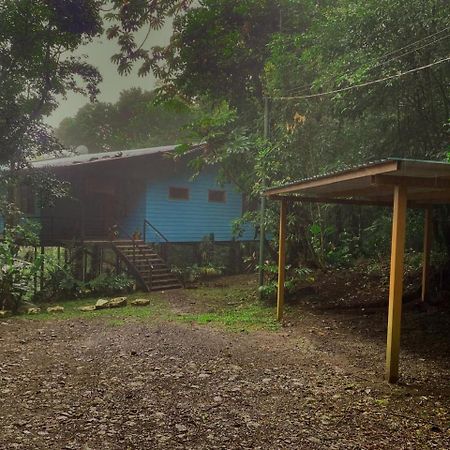 Above The Gulf, Vacation House モンテベルデ エクステリア 写真