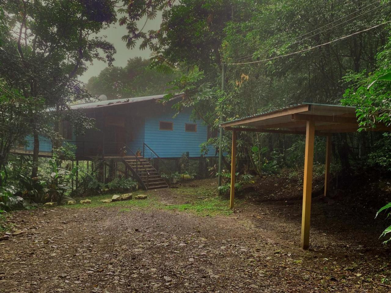 Above The Gulf, Vacation House モンテベルデ エクステリア 写真